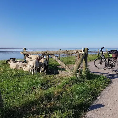 E19 Haus Mit Wintergarten- Terrasse Und Garten By Interhome *