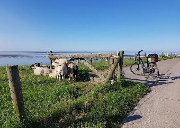 E19 Haus Mit Wintergarten- Terrasse Und Garten By Interhome *